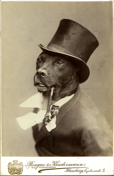 Funny Vintage Photos Vintage Everyday