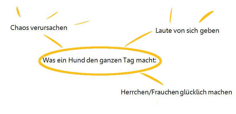 Licht im Kuddelmuddel der Blog zum Deutschlernen Kalte Schnauze
