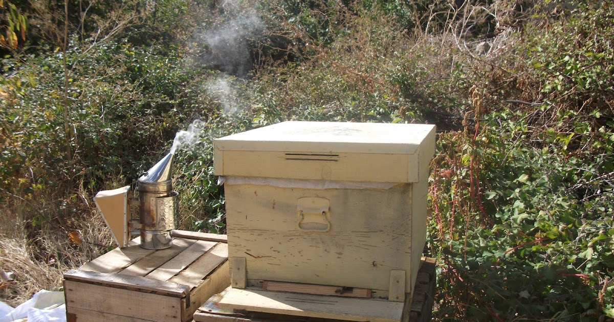 dogan arıcılık Arı Kışa Nasıl Hazırlanır.