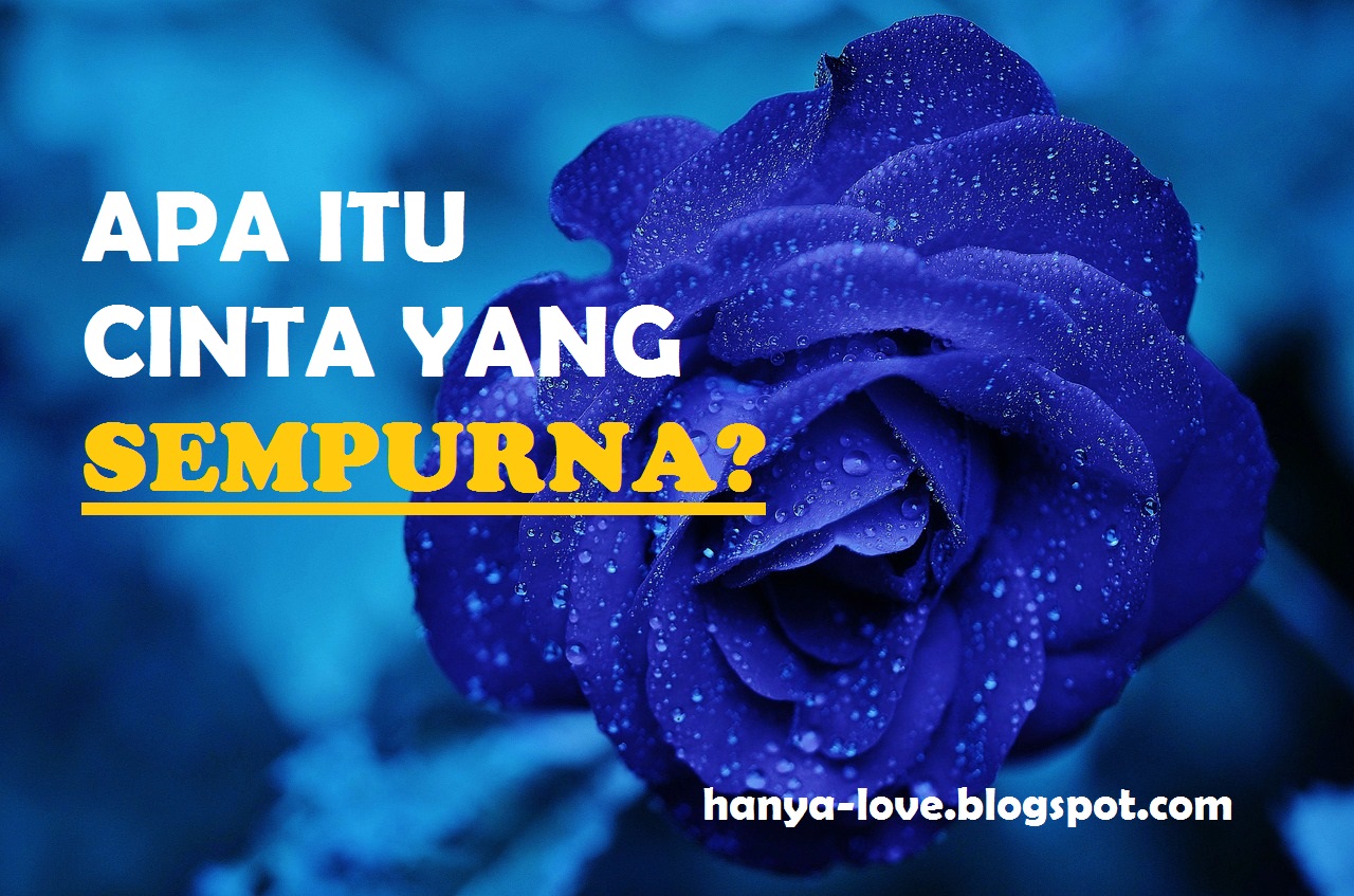 Apa Itu Cinta Sempurna?