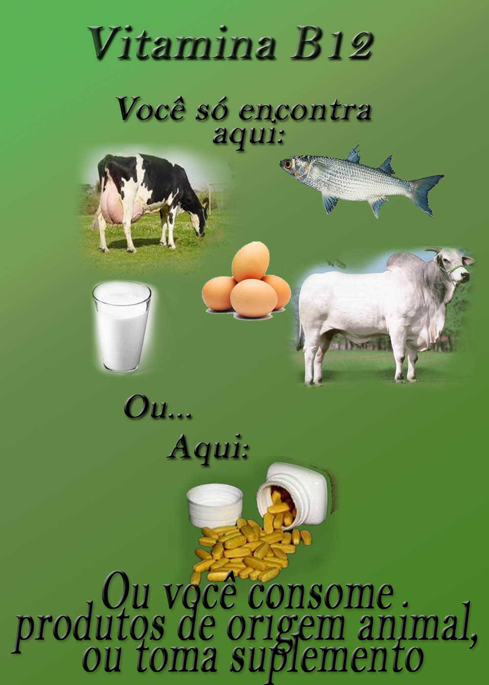 A carne Vitamina B12
