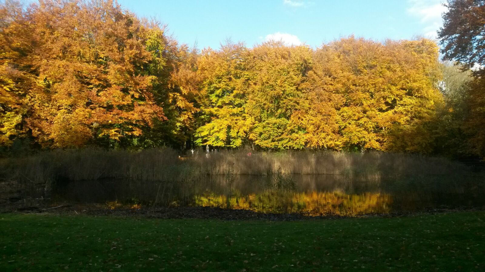 Story of a sister: Rustig aan dan breekt het lijntje niet...