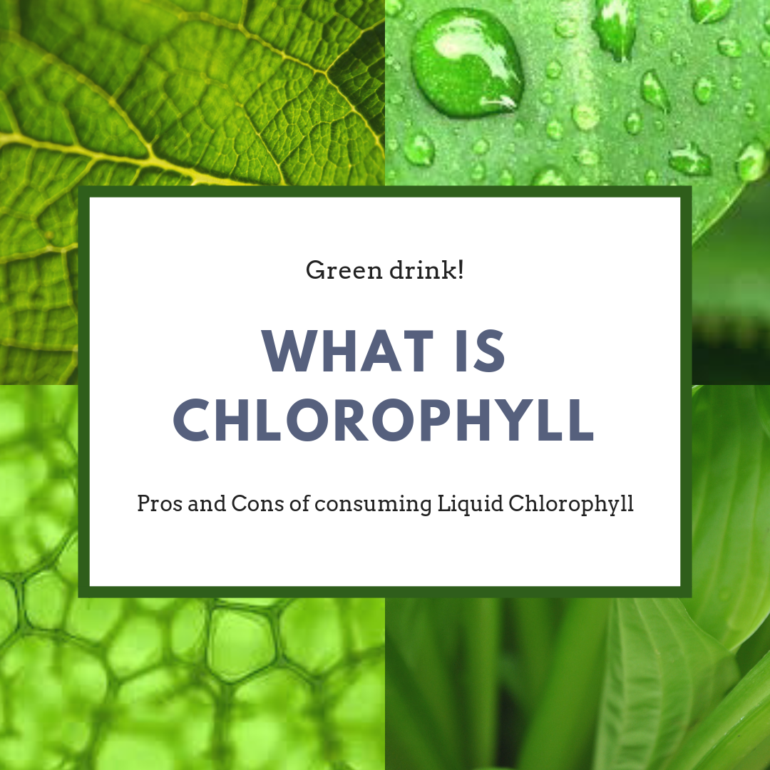 chlorophyll benefit health why water consume should healthy self review