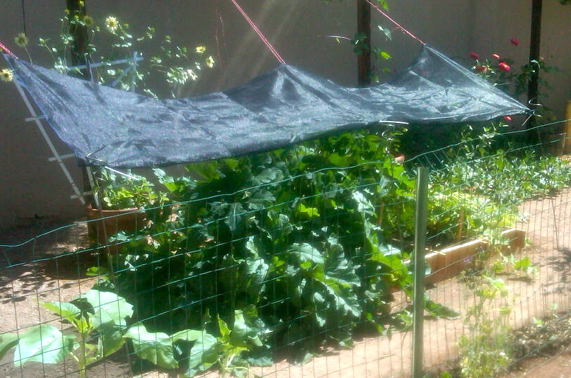 hello there! house Garden Seeds // May Garden Checklist