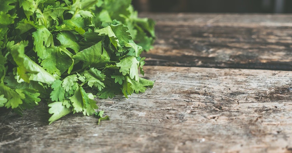 5 Easy Ways to Cook With Coriander