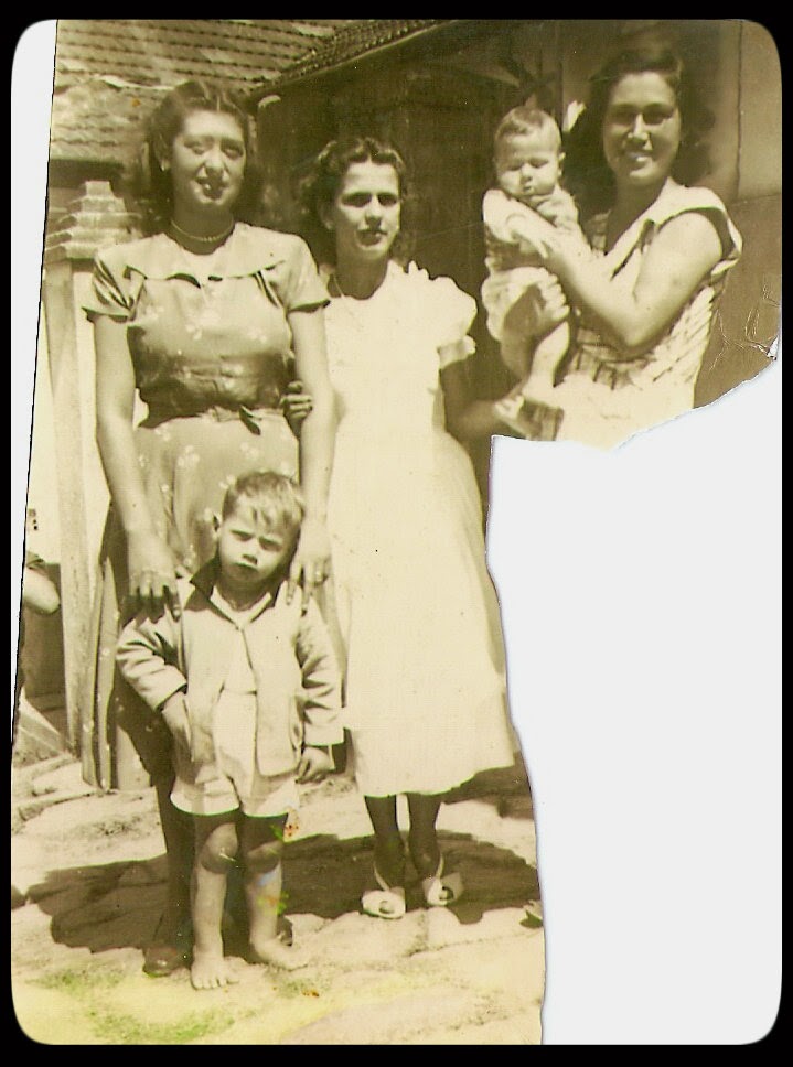 Família Coelho de Mendonça: 06.2014