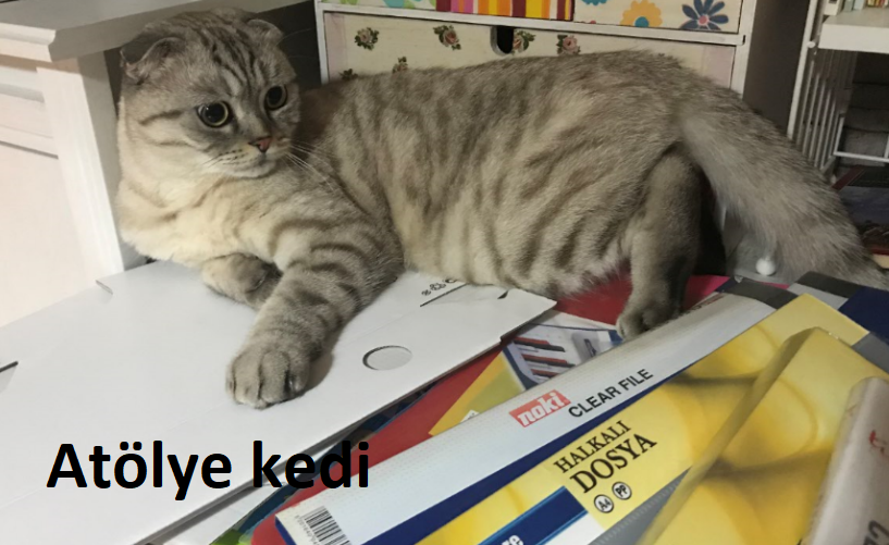 Atölye Kedi Cumadan Pazara…