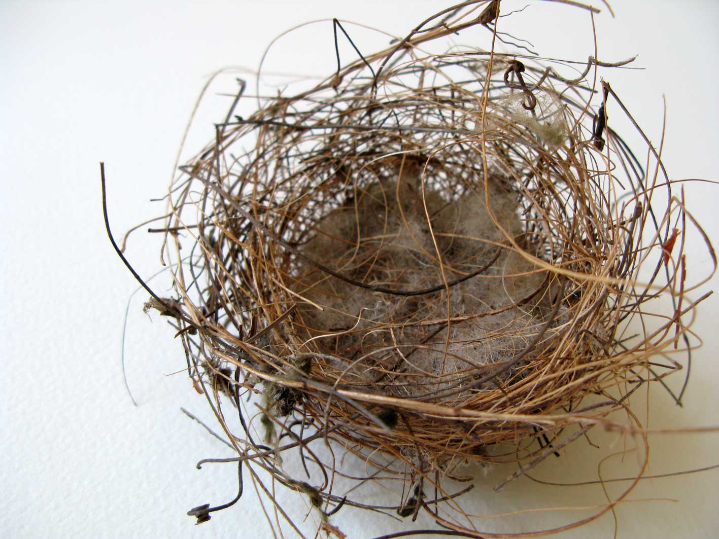 Kuberblog: on nests Kuberblog: on nests