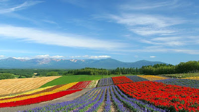 日本富良野及東京瘋狂購物季，享刷團費最高第二人折抵6,000元