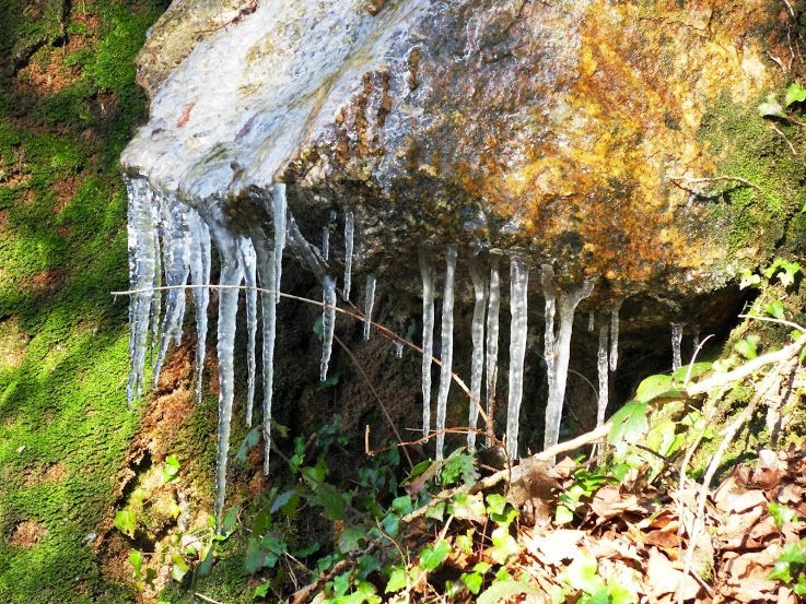 Icicles in Luxulyan Valley