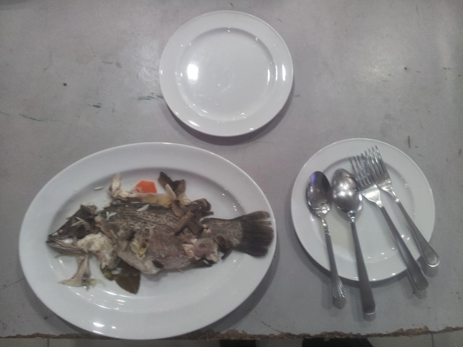 FOOD AND BEVERAGES SERVICE FISH FILLET