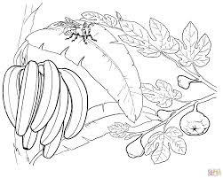 Banana coloring page 9