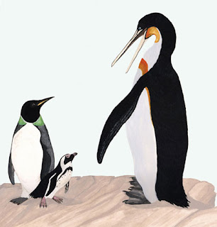 Fakta-fakta Menakjubkan Tentang Penguin yang Menarik Untuk Dibaca
