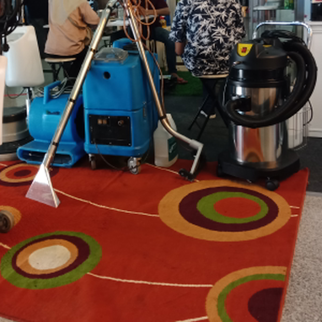 Cara Mudah Bersihkan Karpet Rumah yang Kotor, Pakai Cara Ini Agar Karpet Selalu Baru