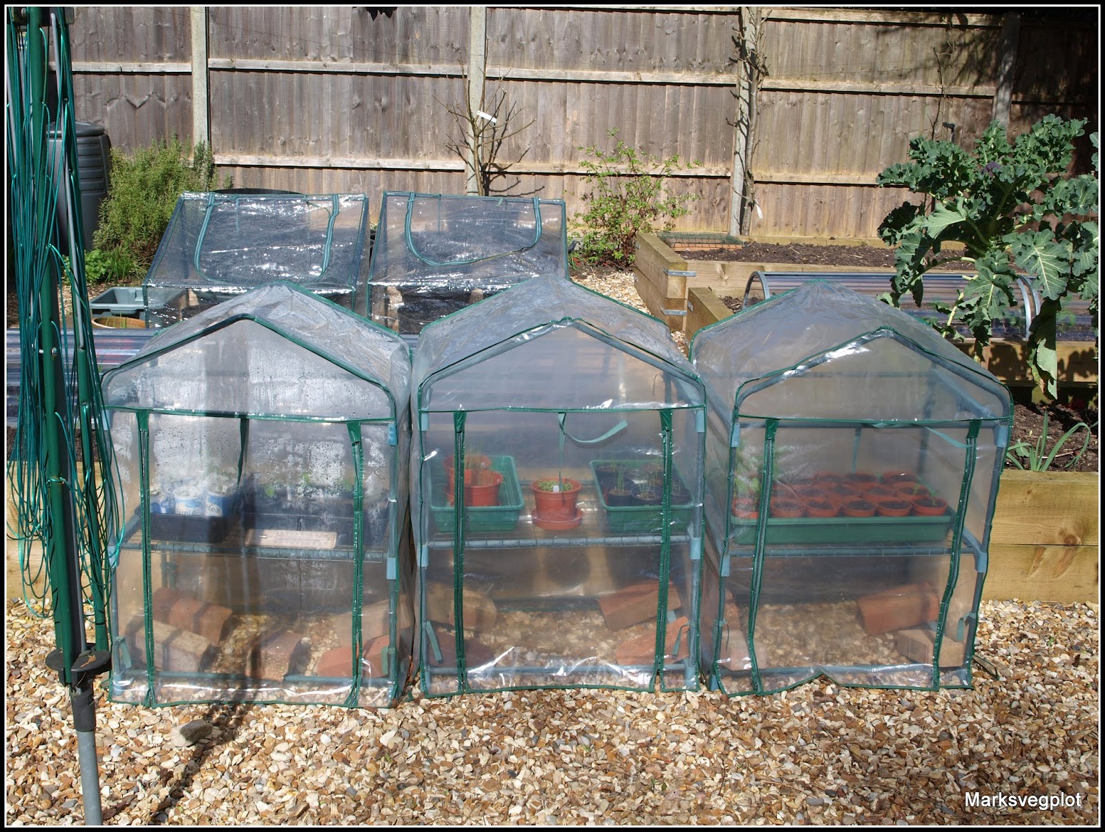 Mark's Veg Plot Getting the best from your minigreenhouse