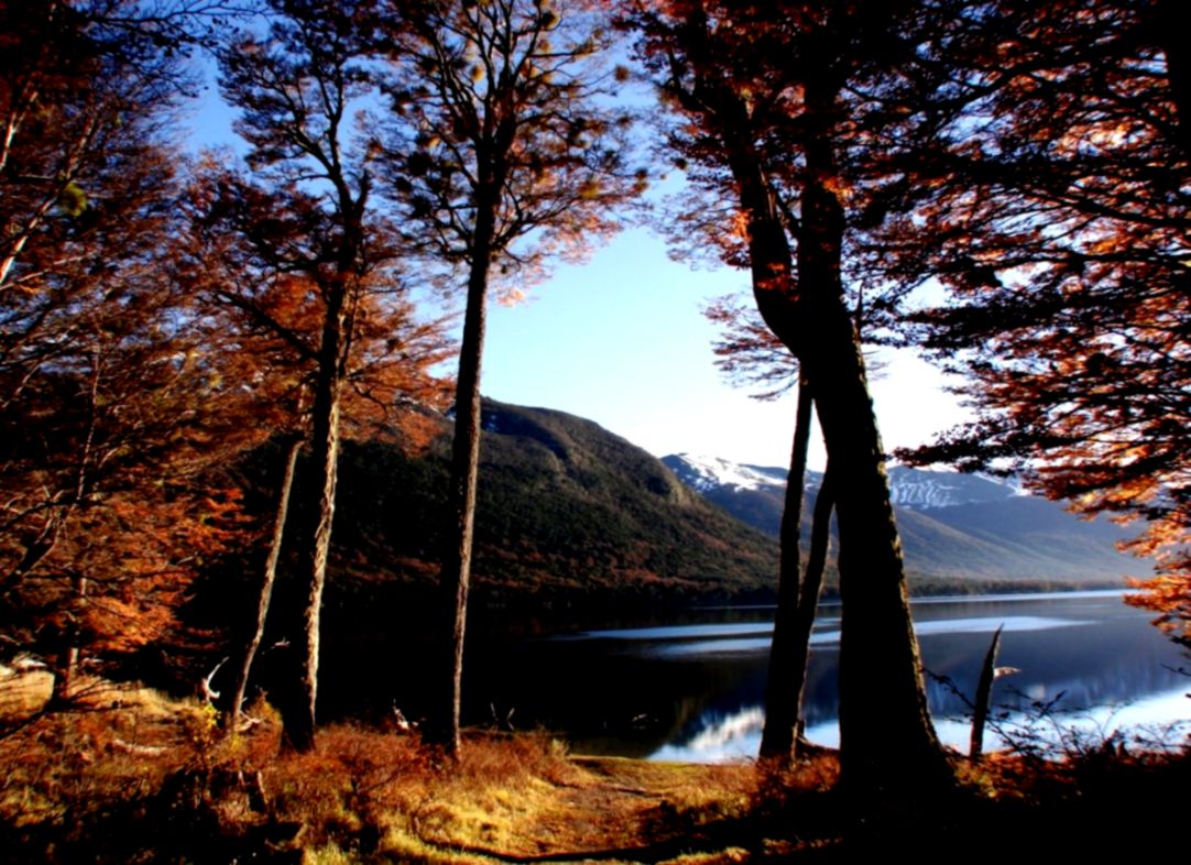 My Yahoo Screensavers  Free Best Hd Wallpapers