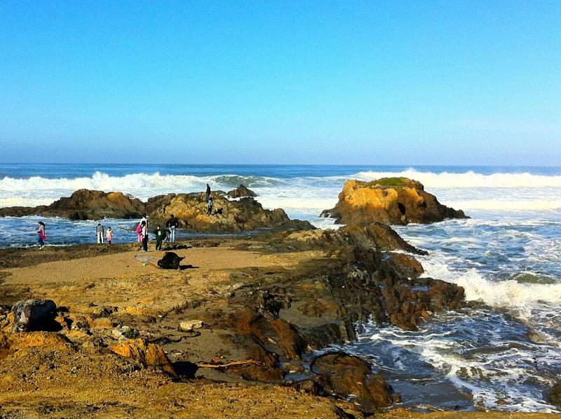 The Beauty Of "Glass Beach" MacKerricher State Park Ngecamp News Online