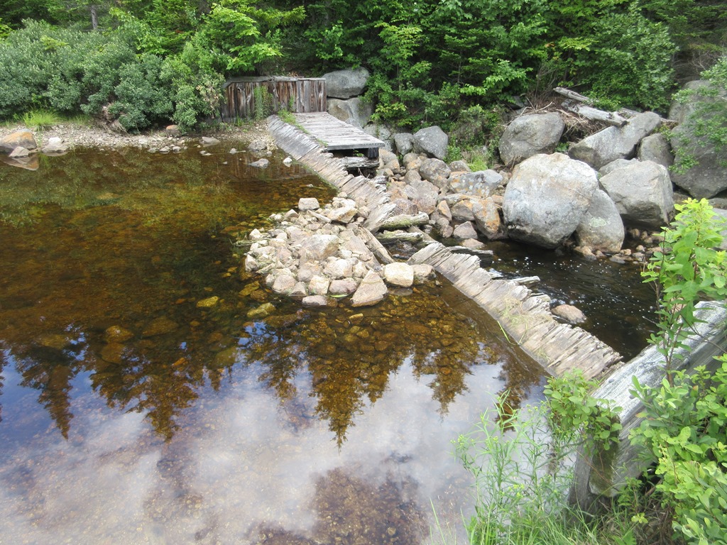 Mountain Wandering FLAT MOUNTAIN POND RAMBLE 7/26/17