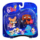 Littlest Pet Shop Pet Pairs Dachshund (#640) Pet Littlest Pet Shop Pet Pairs Dachshund (#640) Pet