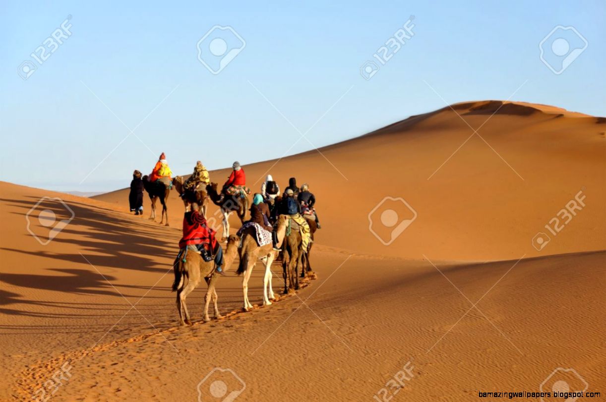 Sahara Desert Africa