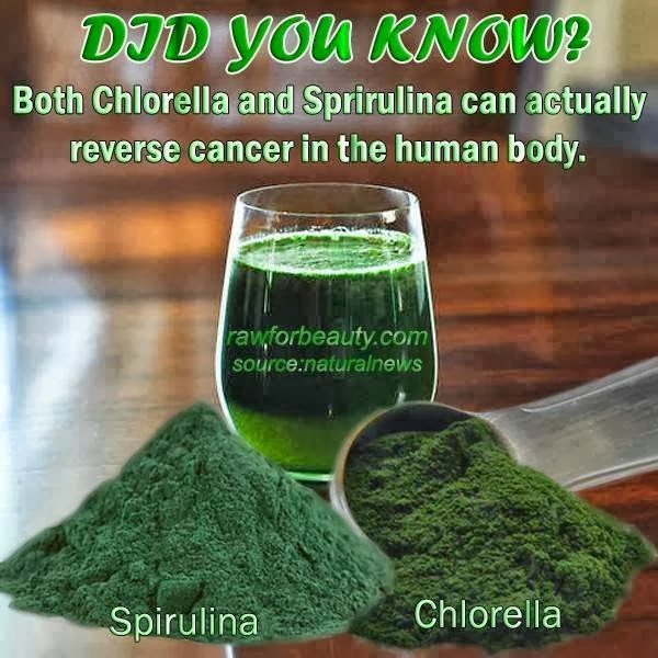 Both Chlorella & Sprirulina can reverse cancer
