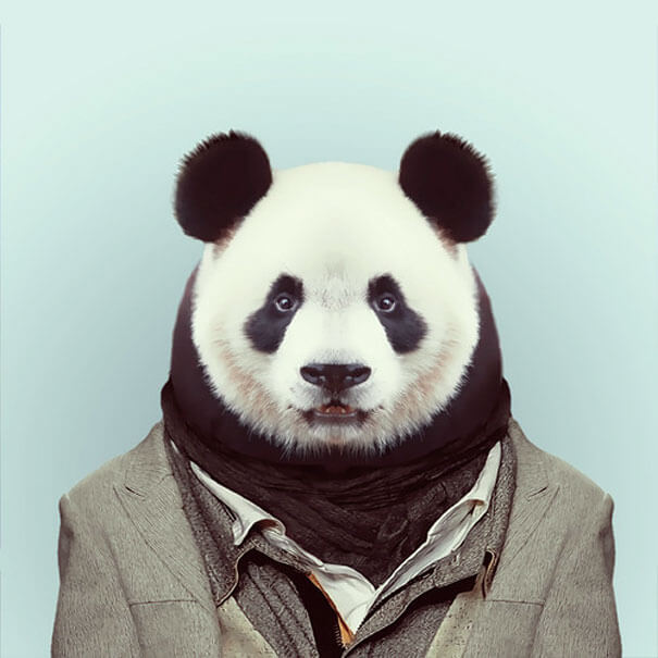 36 Adorable Portraits Of Baby Animals Dressed Like Humans 36 Adorable Portraits Of Baby Animals Dressed Like Humans