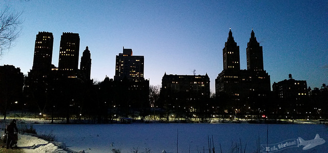 Qual a cidade mais chique de Nova York?