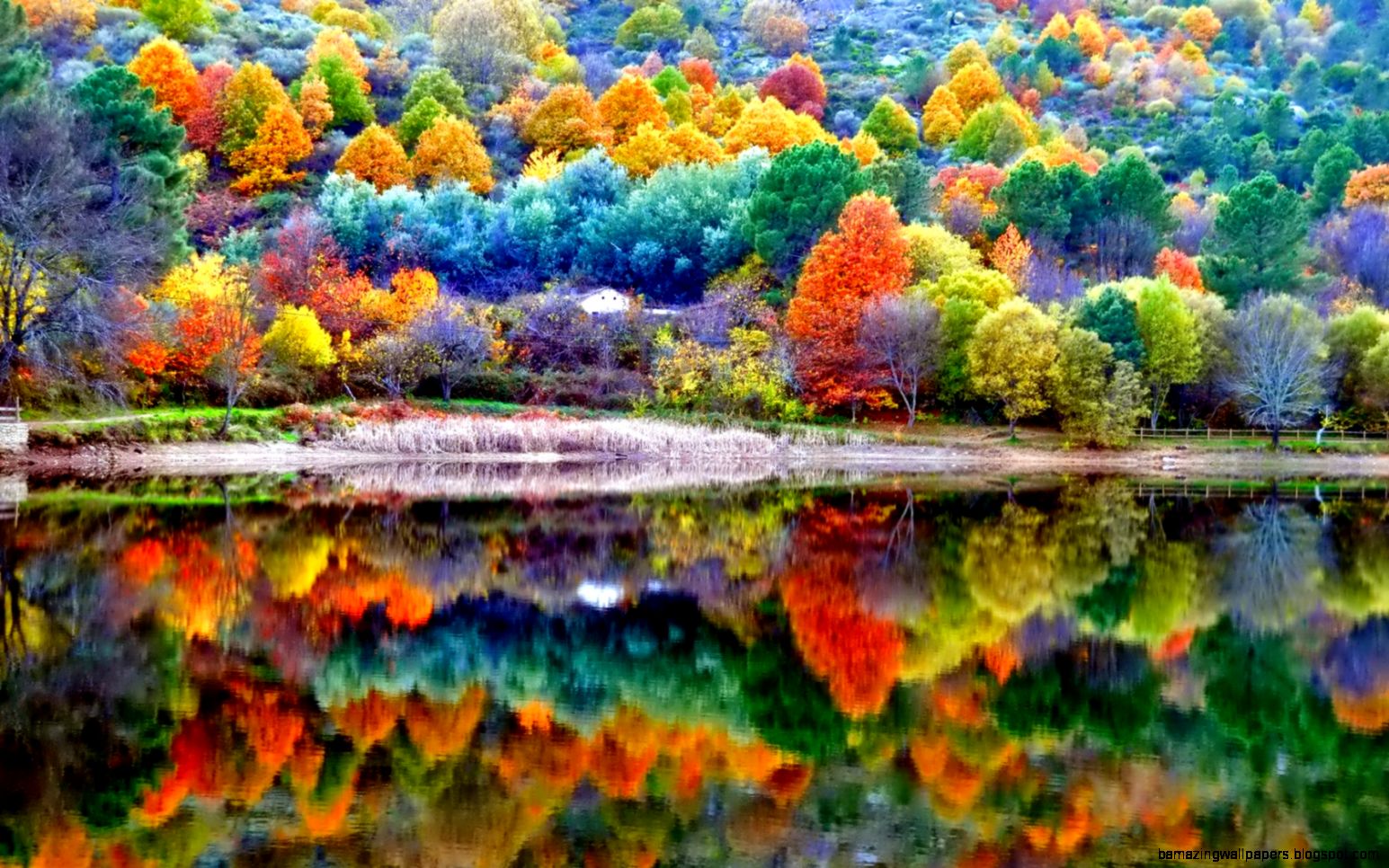 Beautiful Photography Of Fall | Amazing Wallpapers
