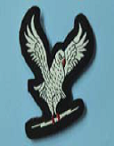 IAF Controllers Badge