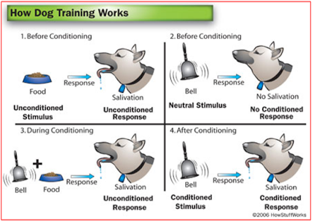 conditioned-response-theory conditioned-response-theory