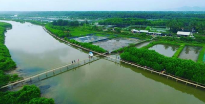 Pantai Kabupaten Kulon Progo yang Indah Wajib Untuk Dikunjungi Pantai Kabupaten Kulon Progo yang Indah Wajib Untuk Dikunjungi
