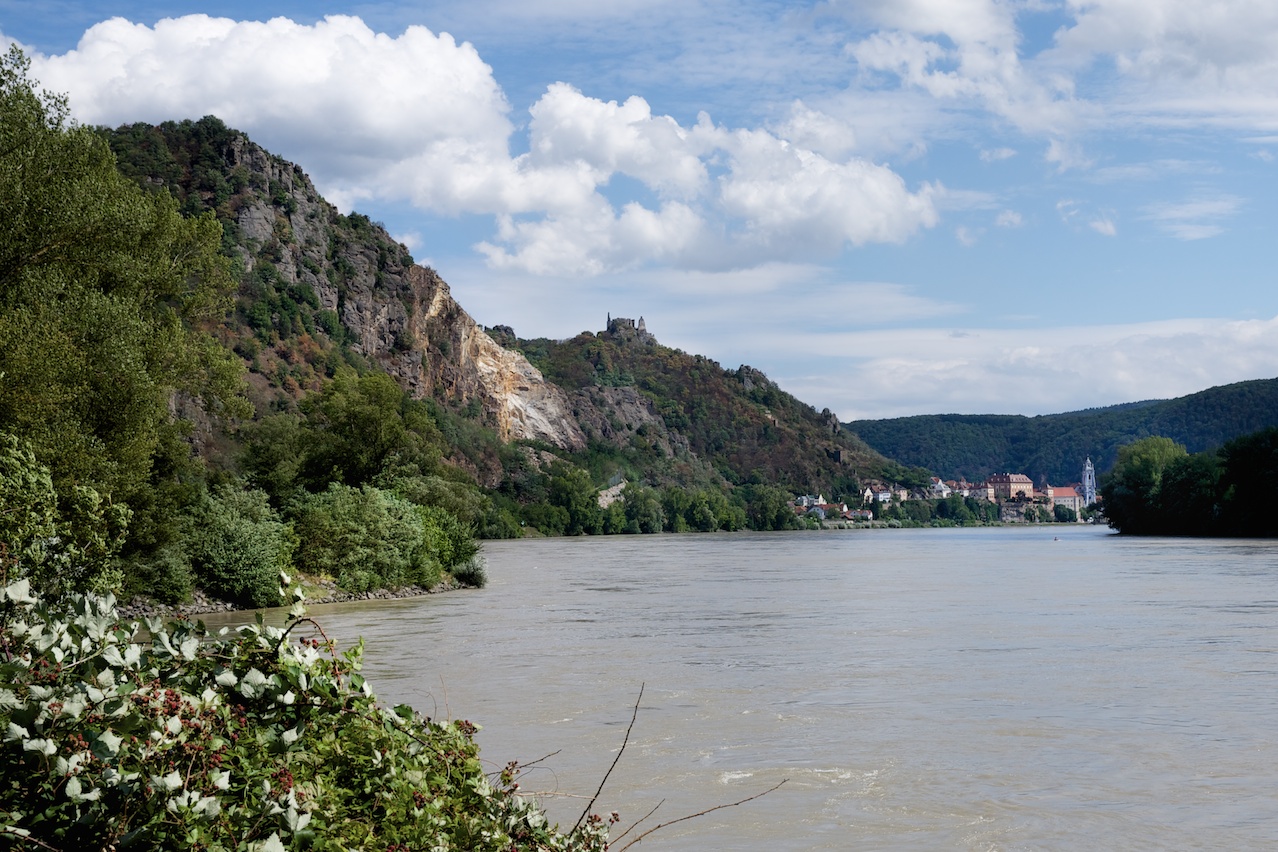 Gestürzter Pfirsichkuchen mit Lavendelduft | ziiikocht Gestürzter Pfirsichkuchen mit Lavendelduft | ziiikocht