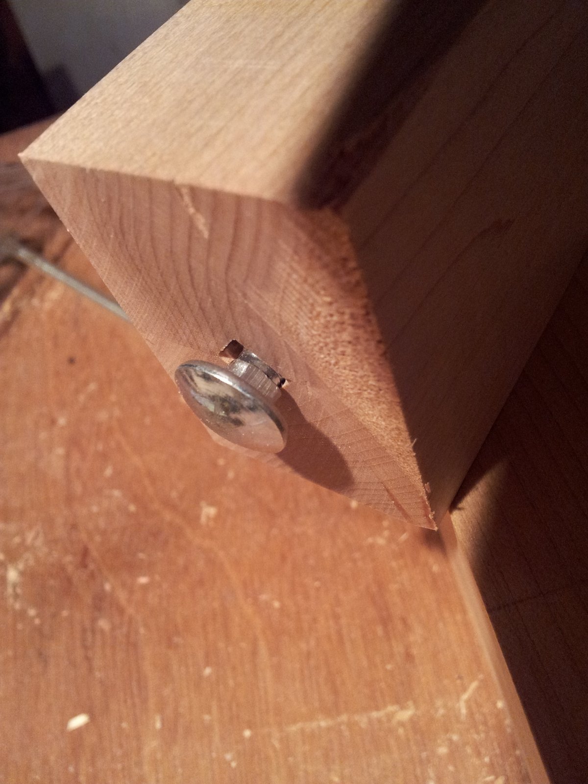 What This Simple Carriage Bolt Did No One Expected After a Home Crisis