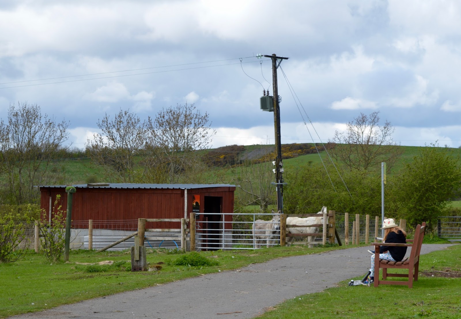 Rising Sun Country Park A Pushchair & Dogfriendly Walk in North