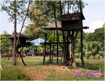 Mini Zoo Taman Teruntum. Tempat menarik dan best di Kuantan Pahang Malaysia