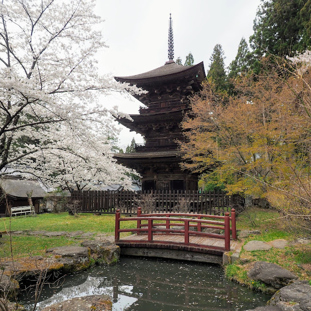 新海三社神社　桜