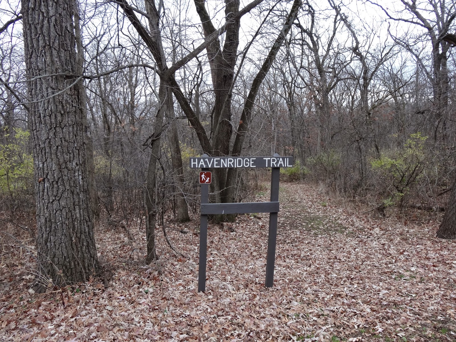 Mama's Basecamp Day Hike at New Glarus Woods