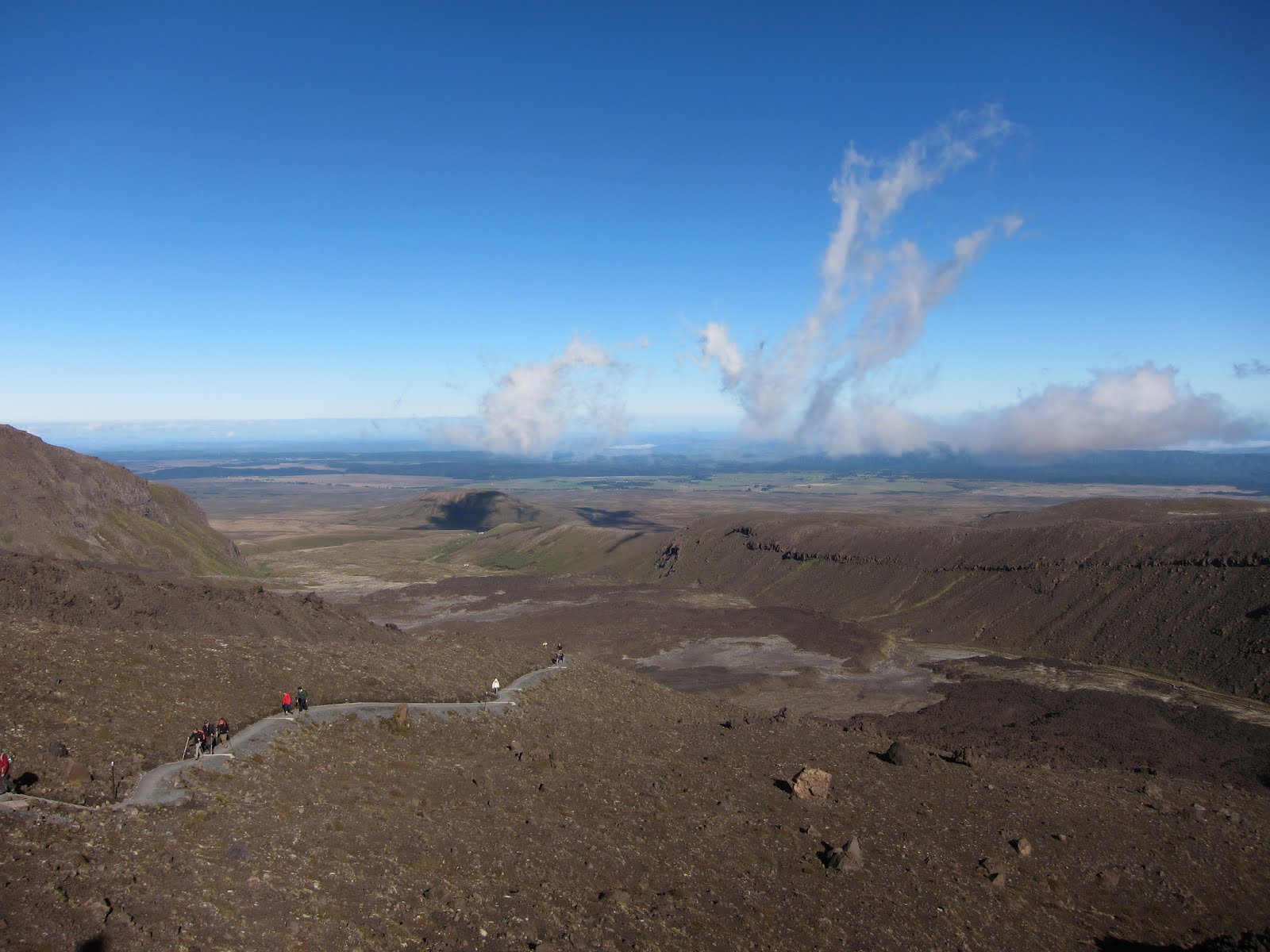 Traveling Solo: Kiwiland