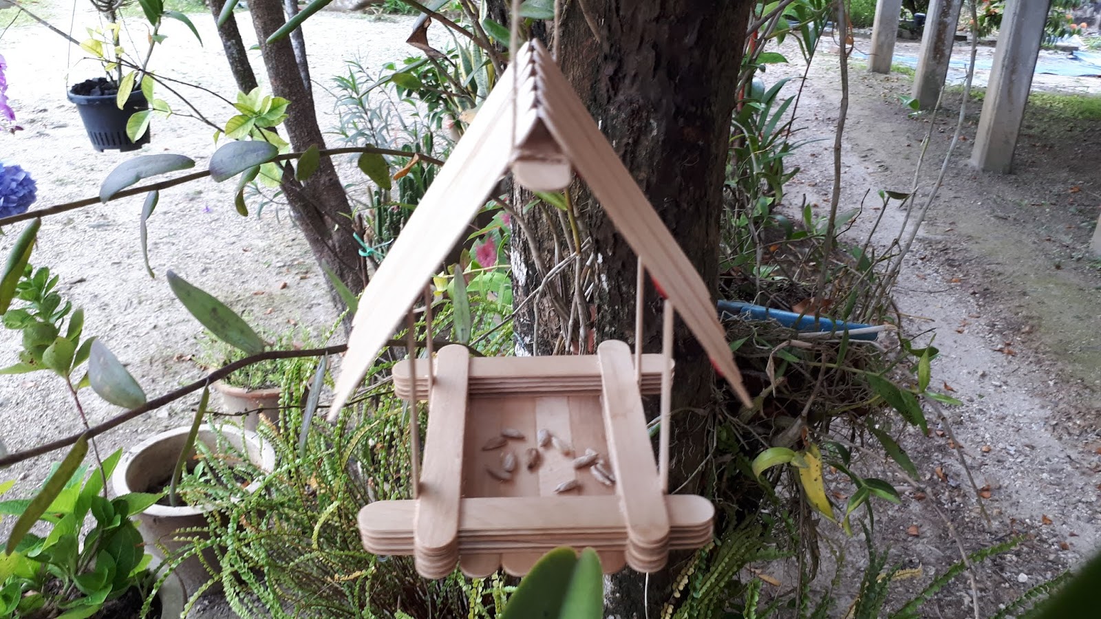 DIY | Bird Feeder Menggunakan Batang Aiskrim