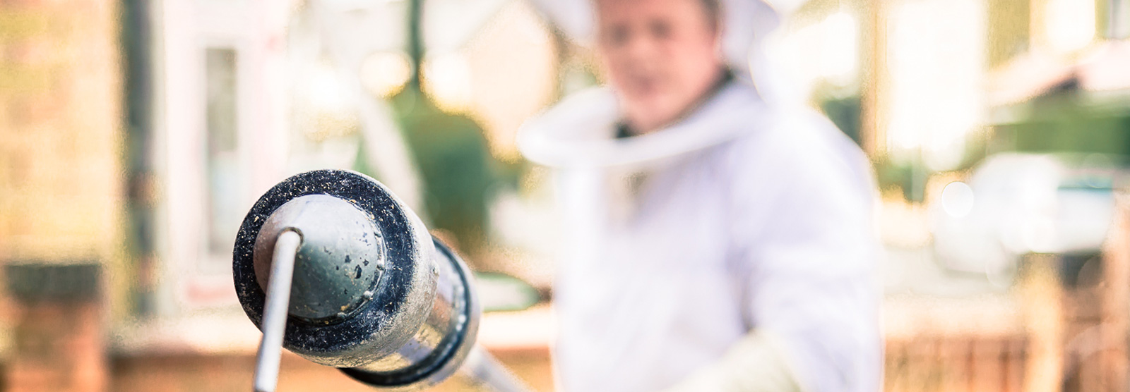 Pest Control Sydney City Major Details Of Commercial Pest Control