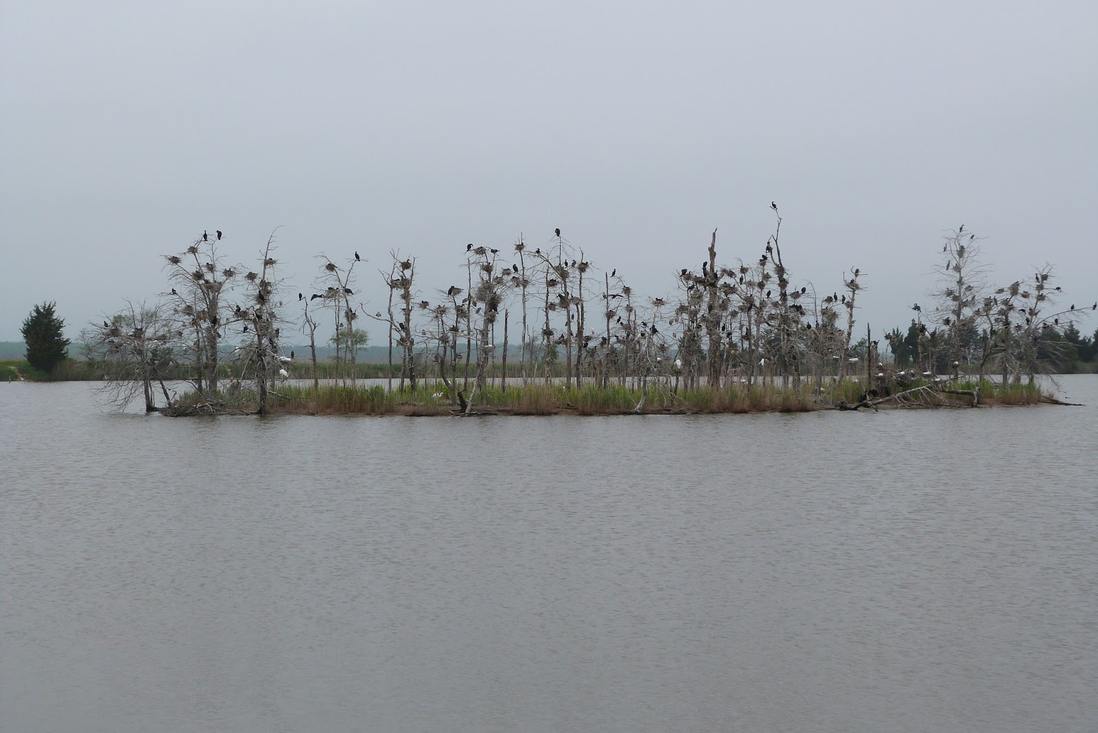 Stromboli's Rolling Log Day 41, Friday May 13, 2016 Matt’s Landing and