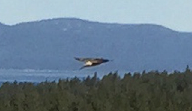 UFO News ~ Triangle UFO Over Lake Tahoe, CA and MORE Lake%2BTahoe%252C%2BCalifornia%252C%2BMoon%252C%2BTower%252C%2BAztec%252C%2BMayan%252C%2BWarrier%252C%2Bfight%252C%2BMike%2BTyson%252C%2B1995%252C%2Btime%252C%2Btravel%252C%2Btraveler%252C%2BLas%2BVegas%252C%2BUFO%252C%2BUFOs%252C%2Bsighting%252C%2Bsightings%252C%2Balien%252C%2Baliens%252C%2BET%252C%2Bspace%252C%2Bnews%252C%2Btech%252C%2BDARPA2