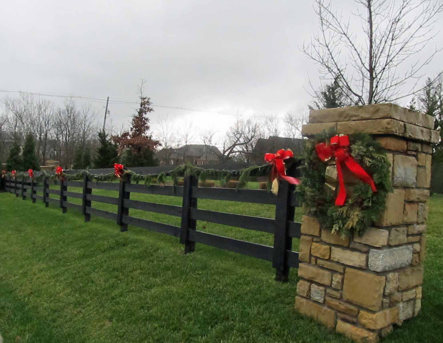 30 Best Ideas Christmas Tree Dog Fence Home Inspiration DIY Crafts