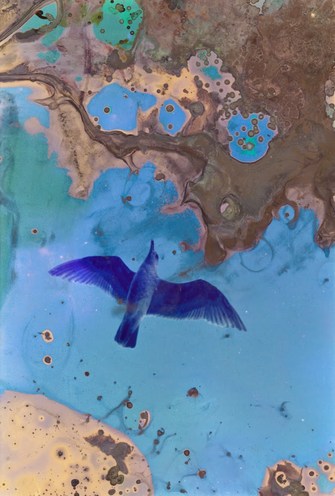 Melinda Gibson Introducing Lunar Caustic