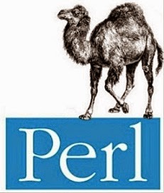 How to write file in perl