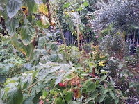 Jardin de l’Aligresse : quand fleurit l’idée de partage - https://echosdu12.blogspot.com/