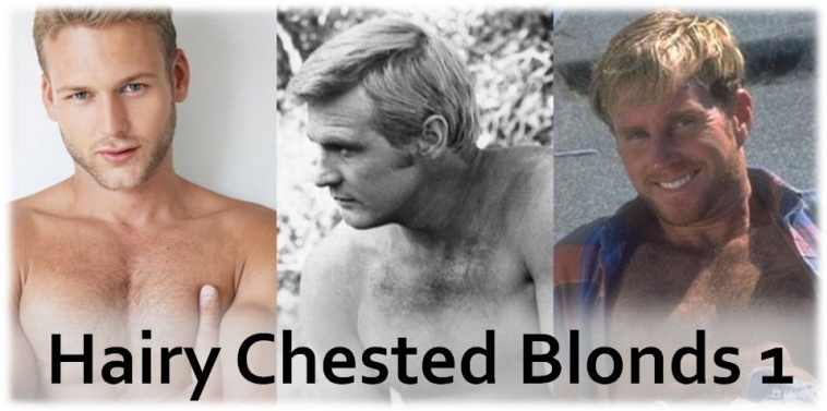 Hairy Chested Blonds