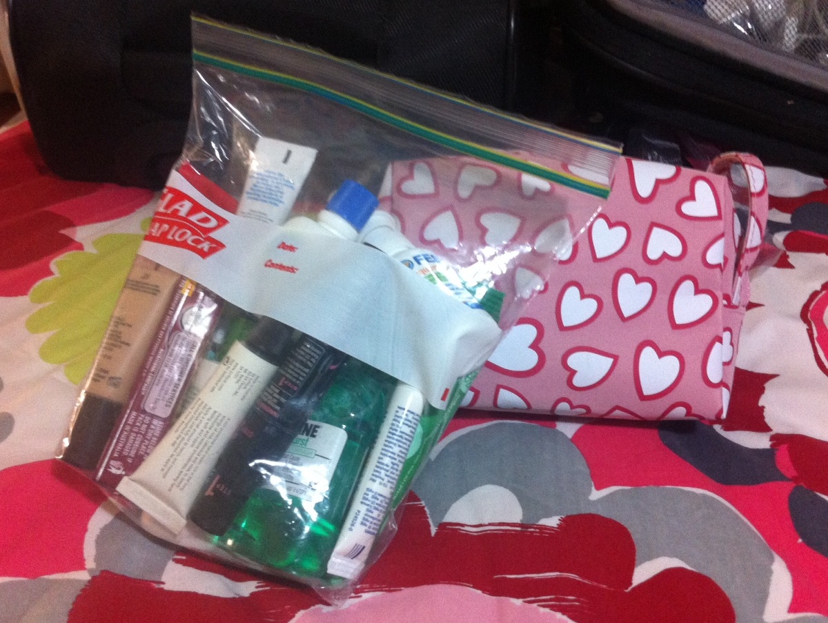 Makeup & me Travel Series What's in my Carry On Bag