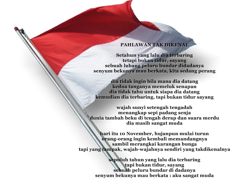 Puisi-puisi Pahlawan: Puisi Kemerdekaan Indonesia Karya 