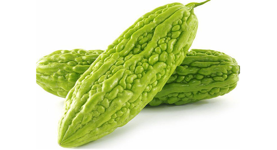 El Melón Amargo, un vegetal curativo y nutritivo CONOCIENDO DE TODO